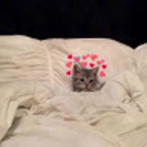 Meet your Posher, Chloe